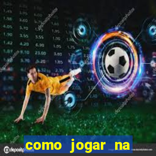 como jogar na lotinha do jogo do bicho